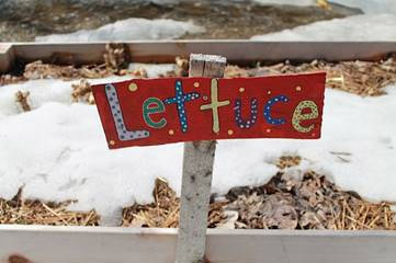 A little reminder of what was to come in the Evergreen Heights school garden in Emsdale. Credit: Kelli Ebbs.