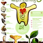 sustainable-foraging-150x150 sustainable-foraging-150x150