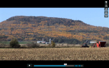 How are we Going to Feed Ourselves In Northwestern Ontario?