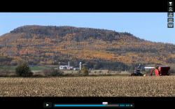 How are we going to feed ourselves in Northwestern Ontario? Northwestern Ontario