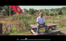 London's Community Gardens