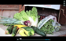 Community Assisted Agriculture in the Durham Region