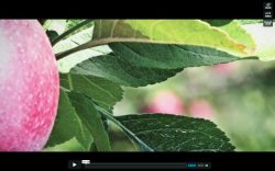 Apple Innovation in Durham Region Apple Innovation in Durham Region