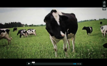 Organic Food Production In Ontario