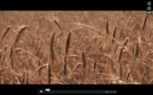 Leaders In Their Field - Thunder Bay Producers