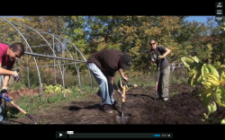 Roots to Harvest Roots to Harvest