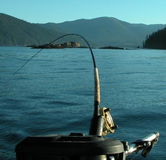 charters_salmonfishingrod