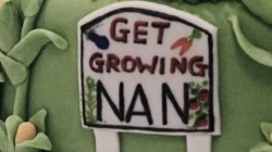 nan nan