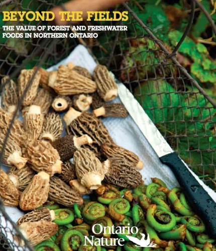 Beyond the fields: Ontario Nature report