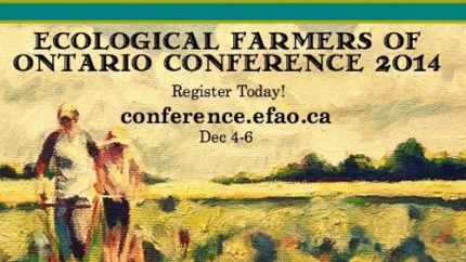 EFAO-conference