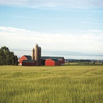 Ontario Farmland