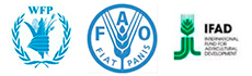 WFP-FAO-IFAD