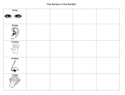 Click to open/download Five Senses Chart