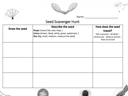 Click to open/download Seed Scavenger Hunt