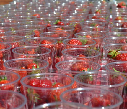 Strawberriesincups2_LFW16_JCowe
