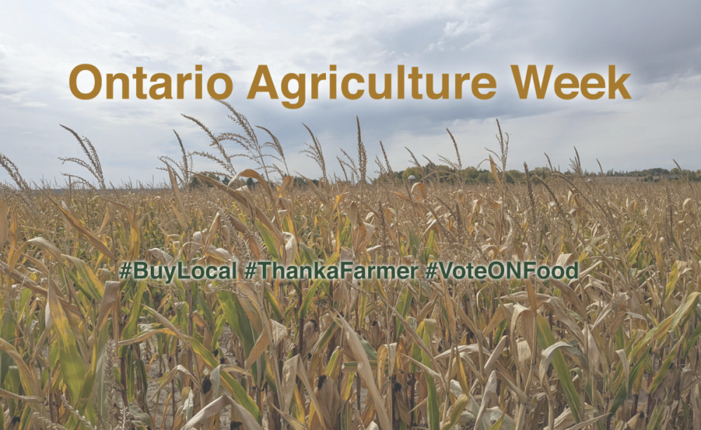 Happy Ontario Agriculture Week! Sustain Ontario