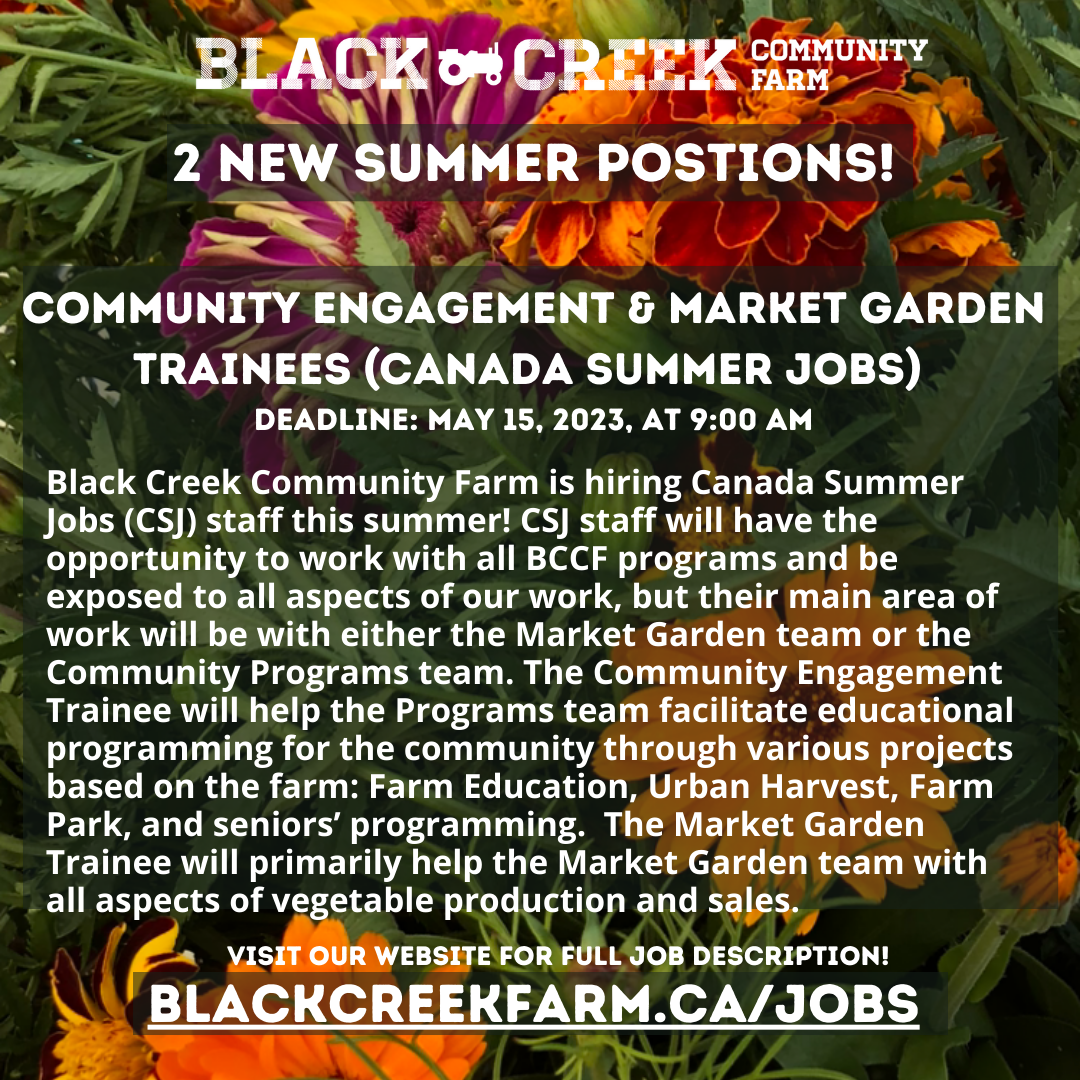 Canada Summer Jobs with Black Creek Community Farm Sustain Ontario